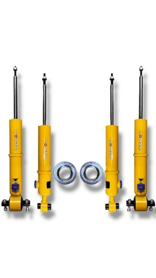 GMC Yukon Provender Shock Absorbers - Front - Rear