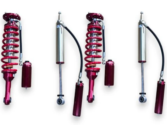 Jumpin' Desert Lion Nissan Patrol FTC Y60 - Y61 - Toyota Hilux - LC79